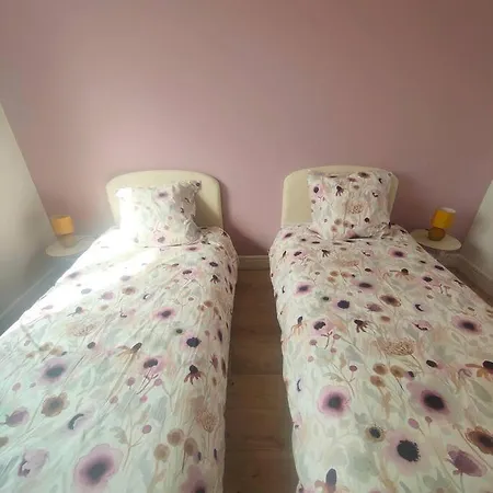 Vakantiehuis Entre Et Vignes 5 Min Zenith Grande Halle Auvergne Romagnat